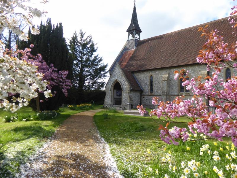 St Peter & St Paul Shalden